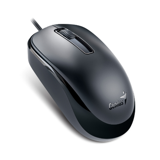 Genius Mouse DX-125,Opt Wired