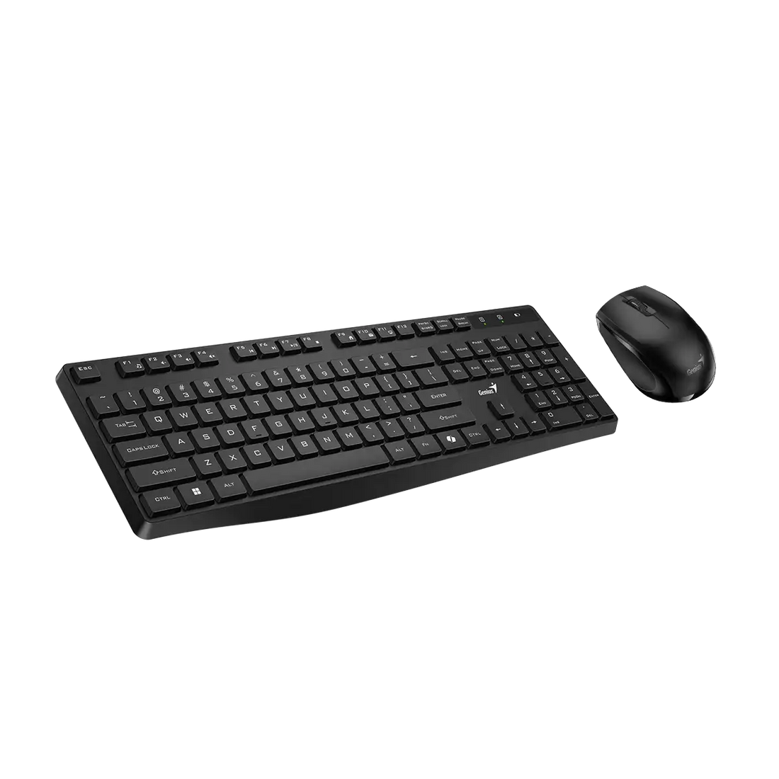 Genius KM-8206S set tastierë dhe maus wireless, pamja 3