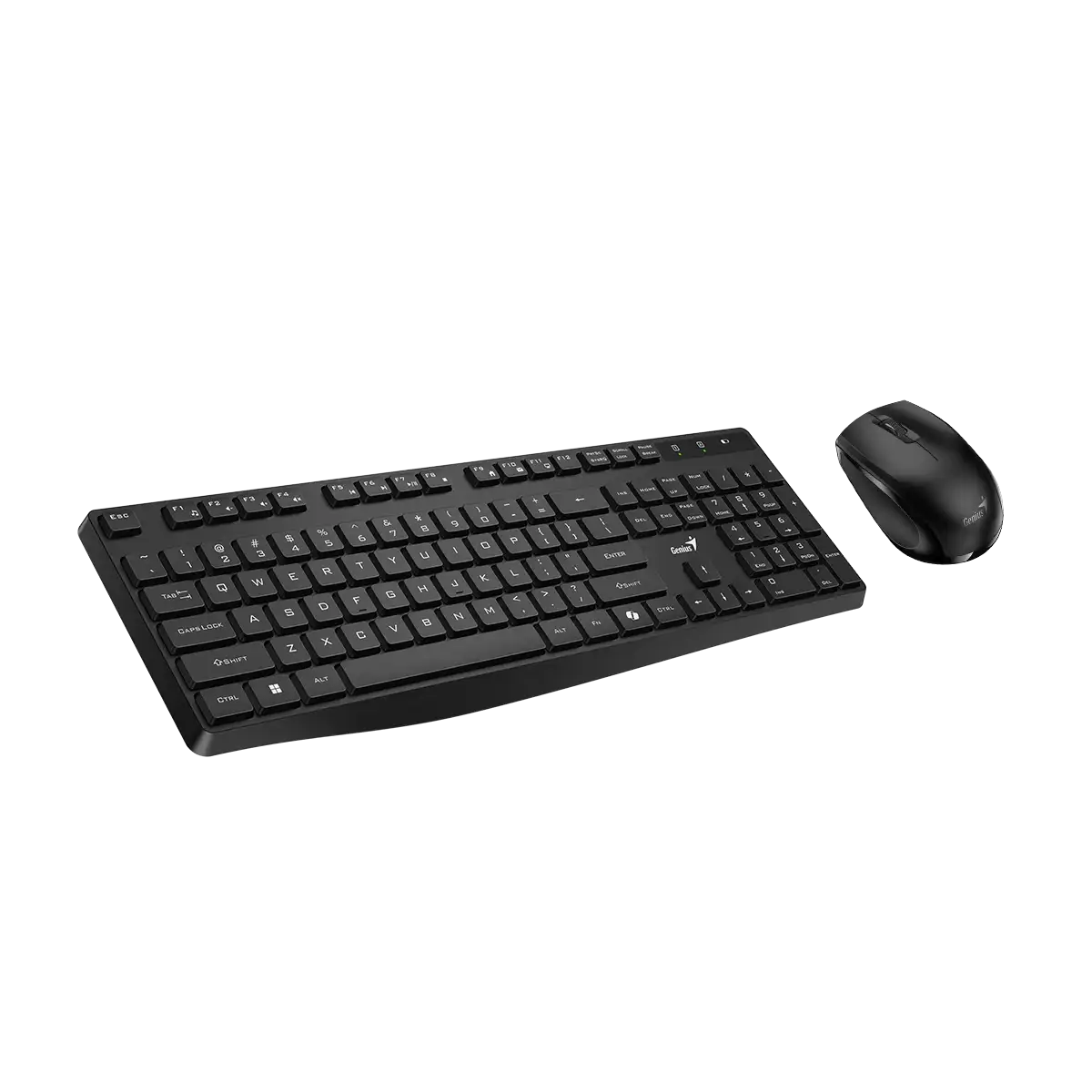Genius KM-8206S set tastierë dhe maus wireless, pamja 3