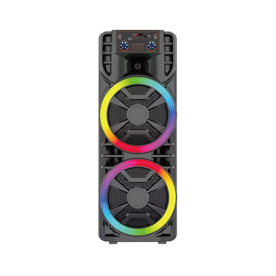 ABS-12207 Zmadhues Zeri Portativ 12” 80W me Karaoke