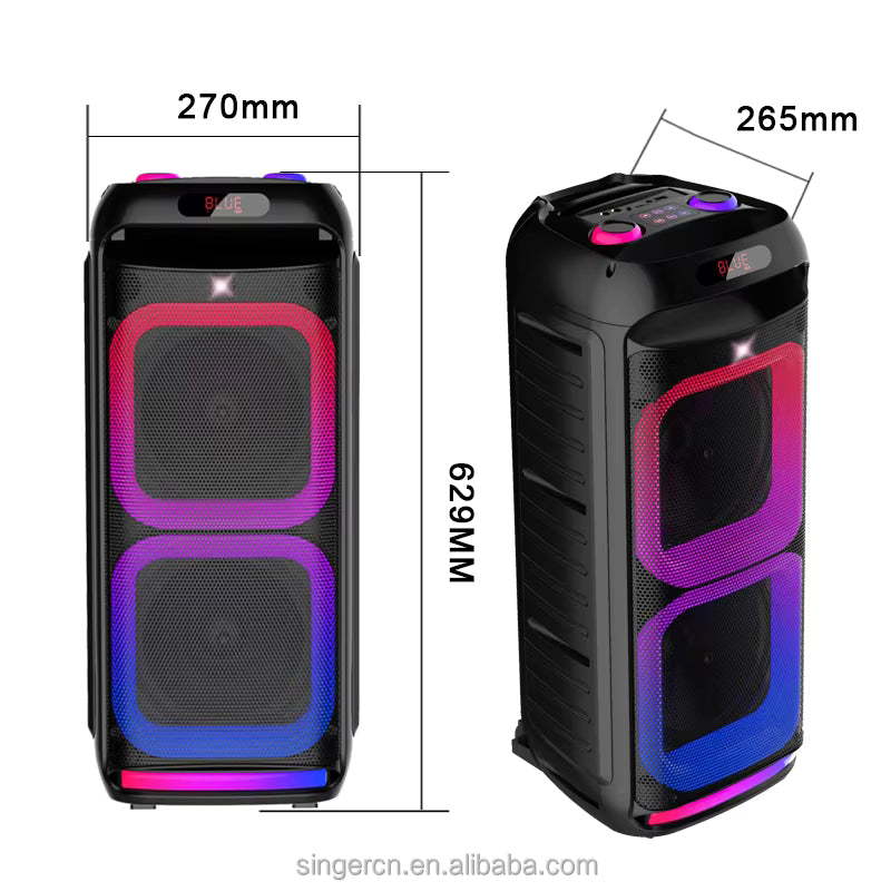 ABS-8203 Popular Dual Microphone Bluetooth Speaker me Drita LED Shumëngjyrëshe 2x40W