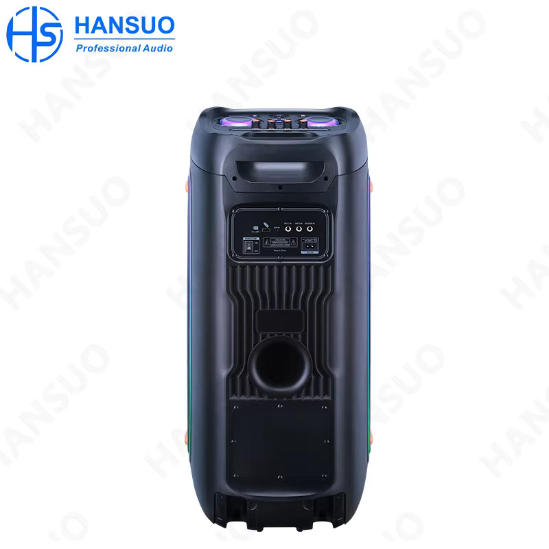 HS-TD10L3 Altoparlant Bluetooth Portativ 100W, Wireless, me LED RGB, TWS, USB dhe FM Radio