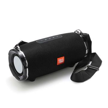 Zmadhues zëri 30W T&G