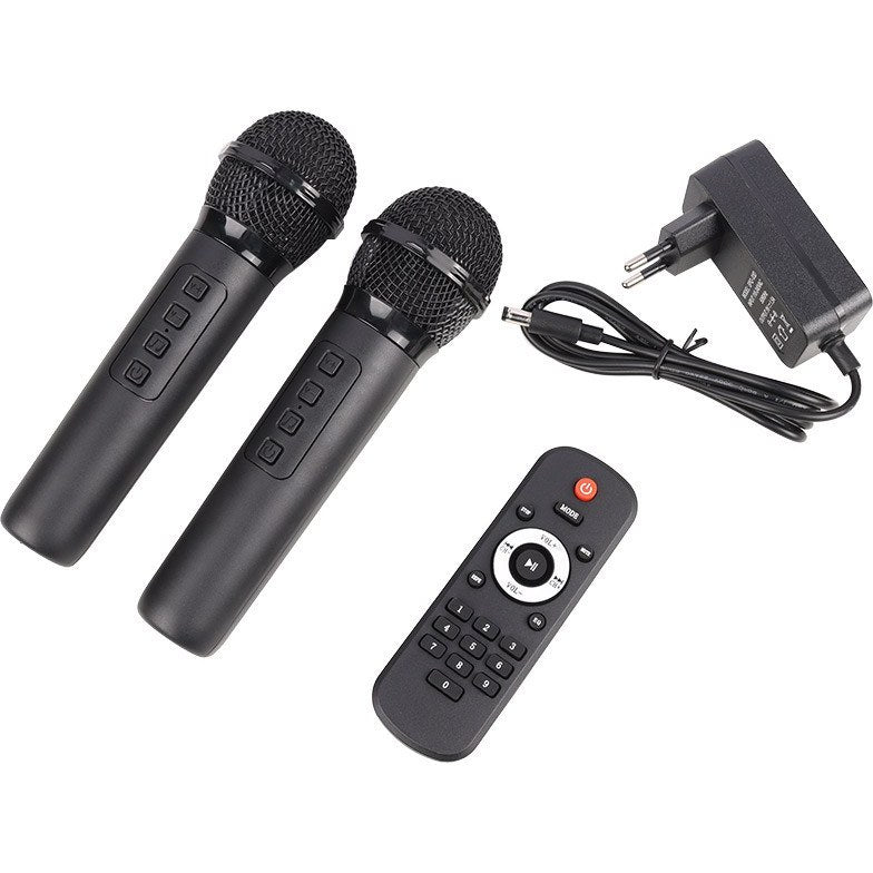 ZQS 10208 Portable Wireless Party Speaker 50W